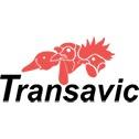 Avícola Transavic