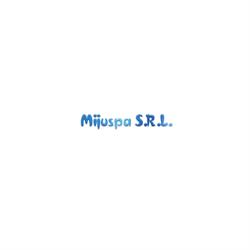 Mijuspa Srl. - Hielos