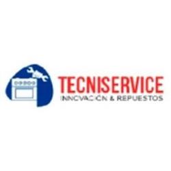 Tecniservice Innovación & Repuestos S.A.C.