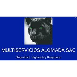 Seguridad y Vigilancia Alomada