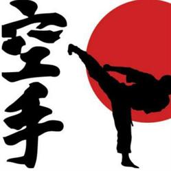 Karate Samurai