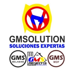 GMSOLUTION Soluciones expertas