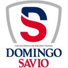 Colegio Domingo Savio