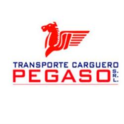 Transporte Carguero Pegaso S.R.L.