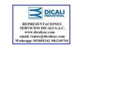 REPRESENTACIONES SERVICIOS DICALI S.A.C.