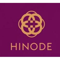 Tu Franquicia-Hinode