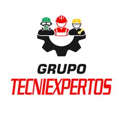 Grupo Tecniexpertos
