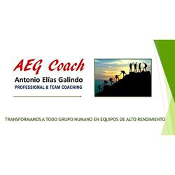 ORGANISTA SHOW INTERNACIONAL - Antonio Elías Galindo