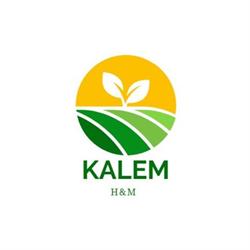 Kalem H & M