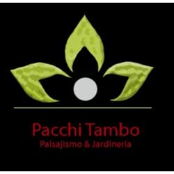 Pacchi Tambo