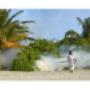 Fumigaciones - Huancayo - Junin
