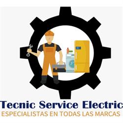 TECNIC SERVICE ELECTRIC