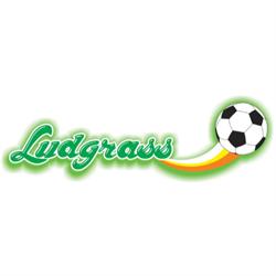 Ludgrass