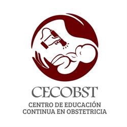 CECOBST CONSULTORES