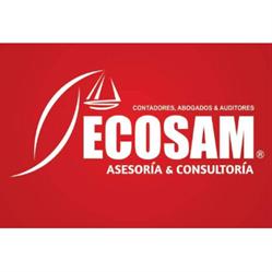 ECOSAN ASESORIA & CONSULTORIA SAC