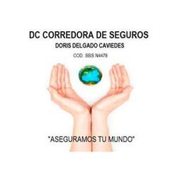 Doris Constanza Delgado Corredora de Seguros y Administradora de Riesgos