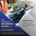 resguardo profesional