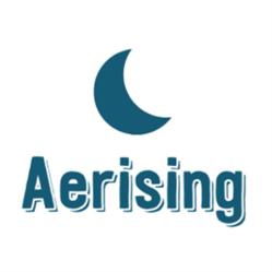 Aerising Peru - Confeccion de Polos