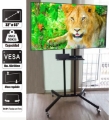 RACK PEDESTAL TV