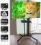 Pedestal rack tv