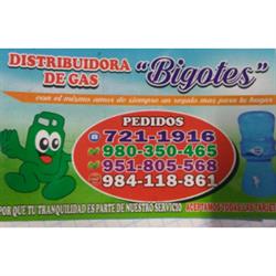 Distribuidora de Gas "Bigotes"