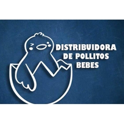 DISTRIBUIDORA DE POLLITOS BEBES