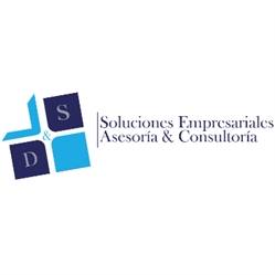 D Y S Soluciones Empresariales