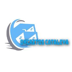 CONCRETOS CATALEYA