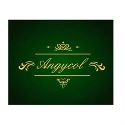 HOSTAL RESTAURANTE PUB ANGYCOL
