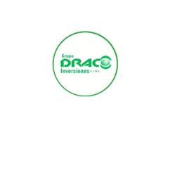 GRUPO DRACO INVERSIONES E.I.R.L.