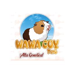 WAWA CUY PERU E.I.R.L.