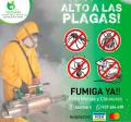 Servicios de Fumigación