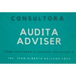 Audita Adviser