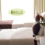 25 habitaciones