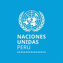 PNUD - Programa De Las Naciones Unidas Para El Desarrollo
