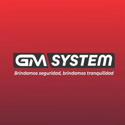 GM SYSTEM (CÁMARAS DE SEGURIDAD, ALARMA CONTRA INCENDIO, CERCO ELÉCTRICO Y CONTROL ASISTENCIA)