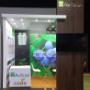 STAND-AVIBIOL