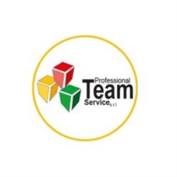 PROFESSIONAL TEAM SERVICE SRL