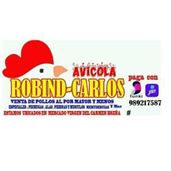DISTRIBUIDORA ROBIND CARLOS SAC