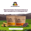 Catalogo de productos al x mayor
