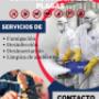 SANEAMIENTO AMBIENTAL