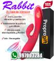 RABBIT