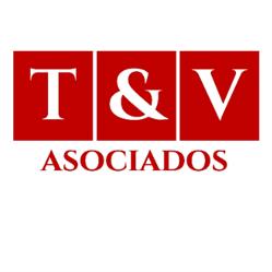 Consultoría Empresarial T & V