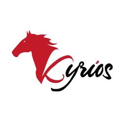 Importaciones Kyrios sac