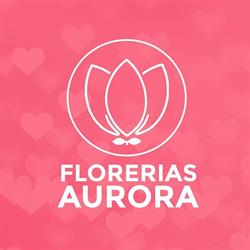 FLORERIAS AURORA