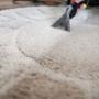 LAVADO DE ALFOMBRAS
Te brindamos un servicio de limpieza de alfombras para que las vuelvas a lucir como cuando recién la compraste, NUEVA, dile adiós a las manchas, pelos de mascotas y malos olores.
Te garantizamos la desinfección y la eliminación de los malos olores de tu alfombra.