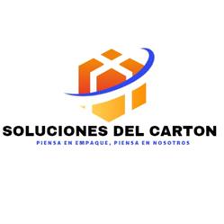 SOLUCIONES DEL CARTON
