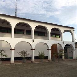 Bodega Olivico