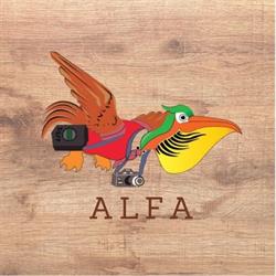 Alfa Tours