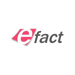 EFACT S.A.C